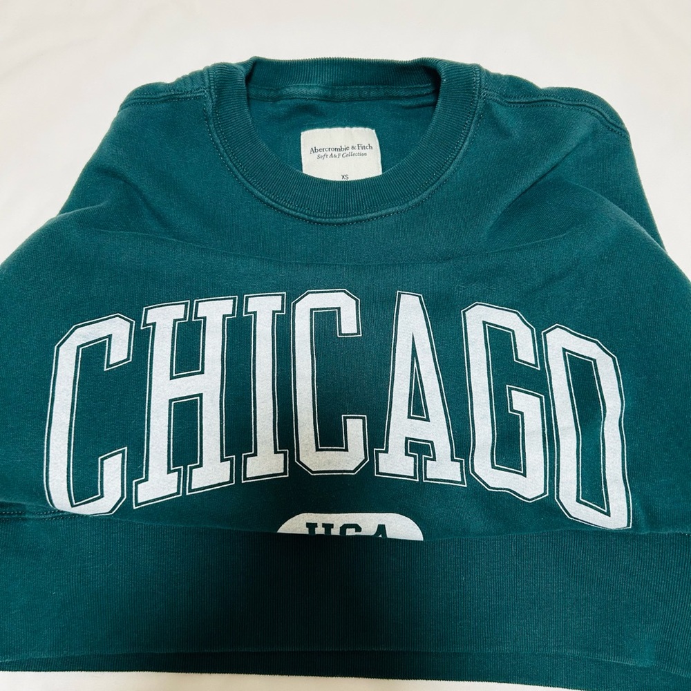 Abercrombie & Fitch Teal Chicago Sweater